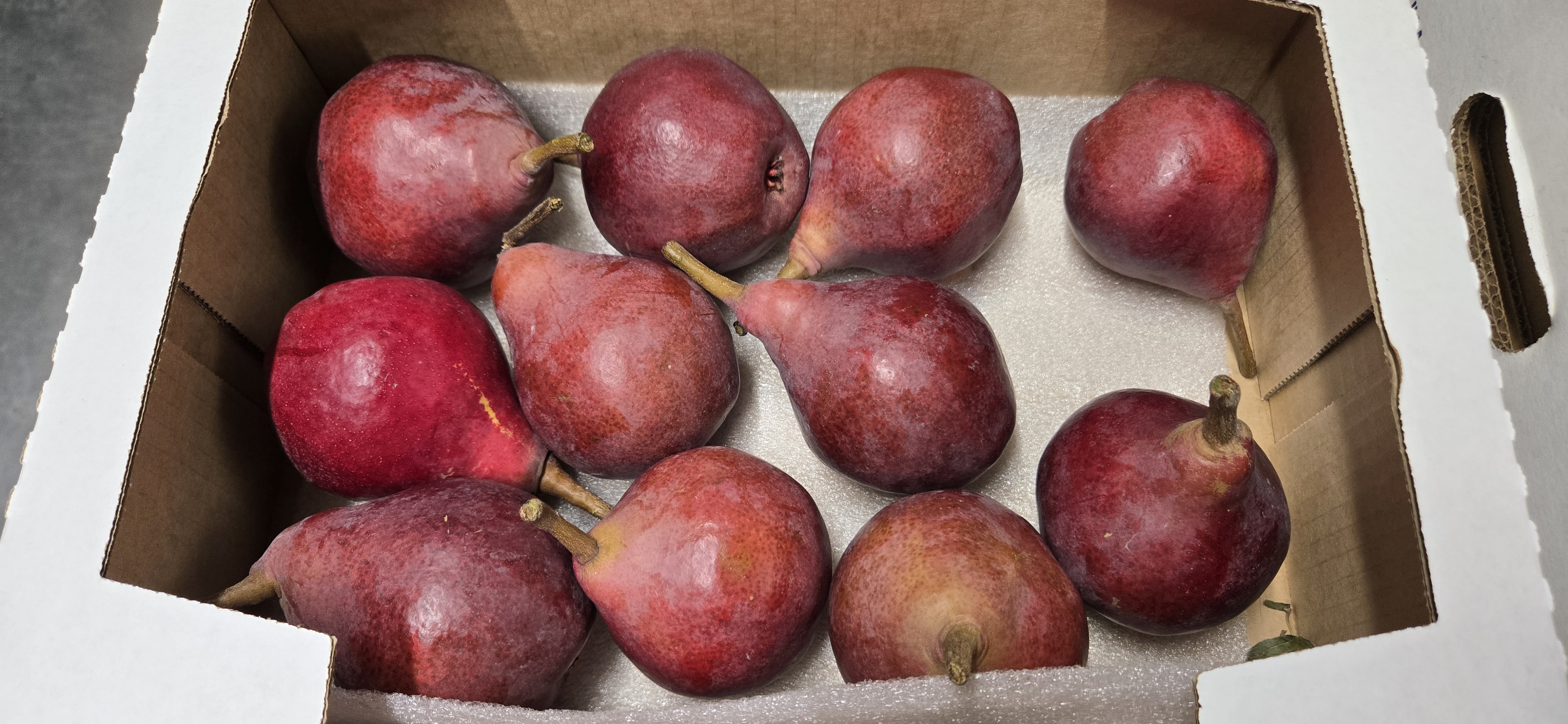 Star Krimson Pears