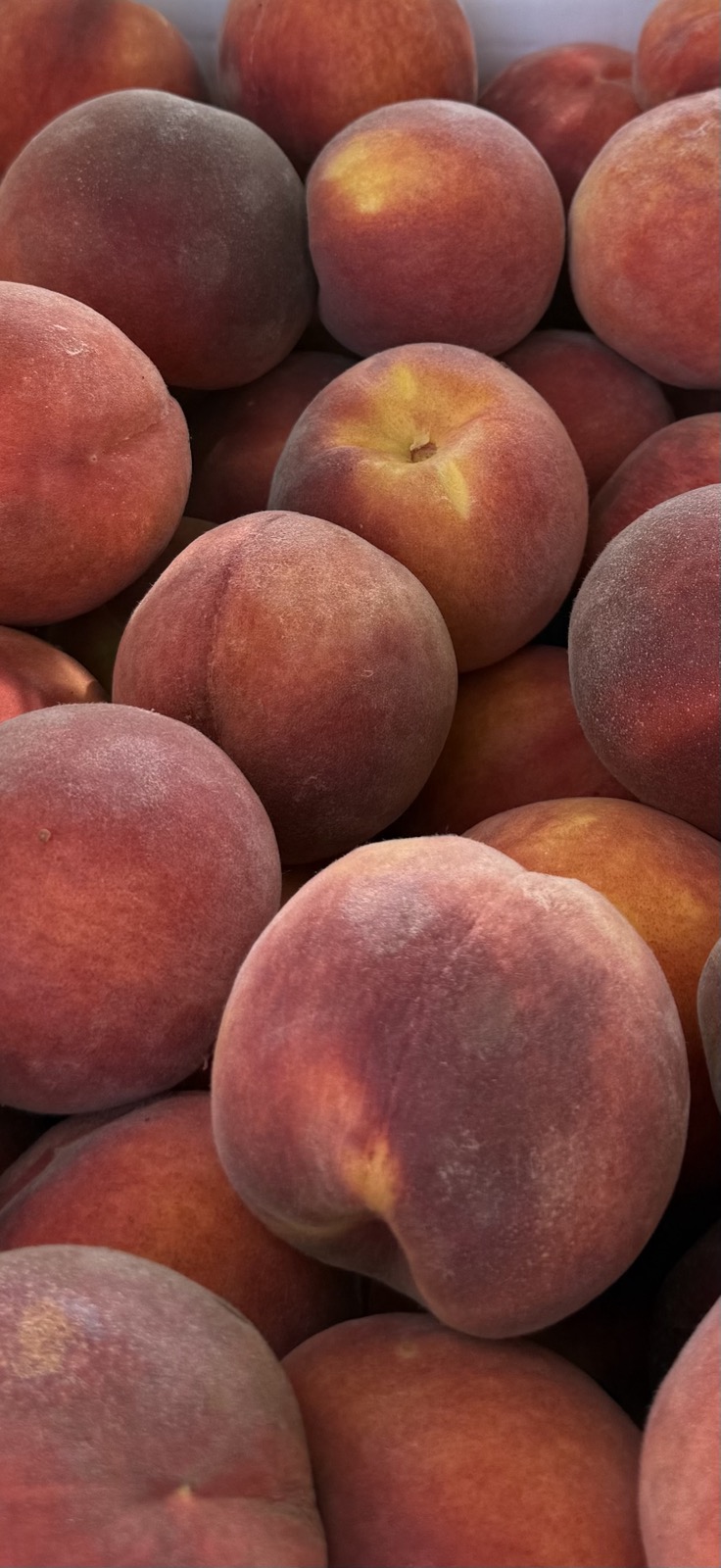 Yellow Peaches