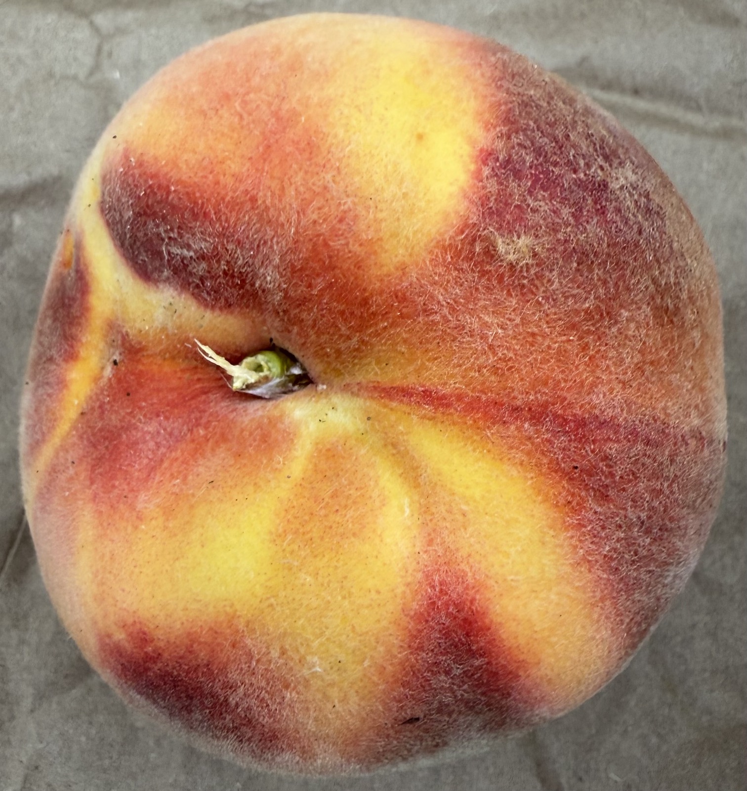 Yellow Peaches