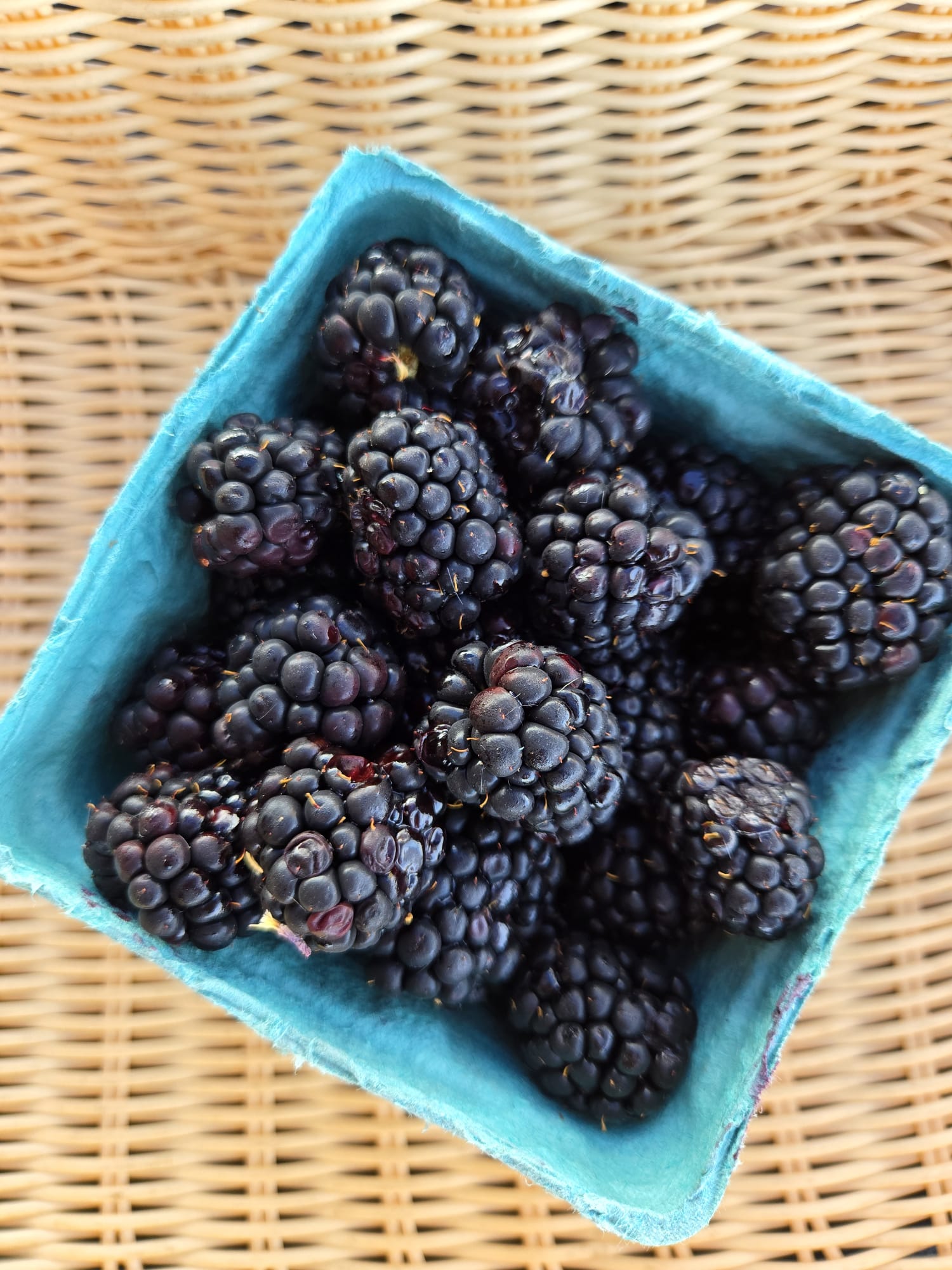 Blackberries