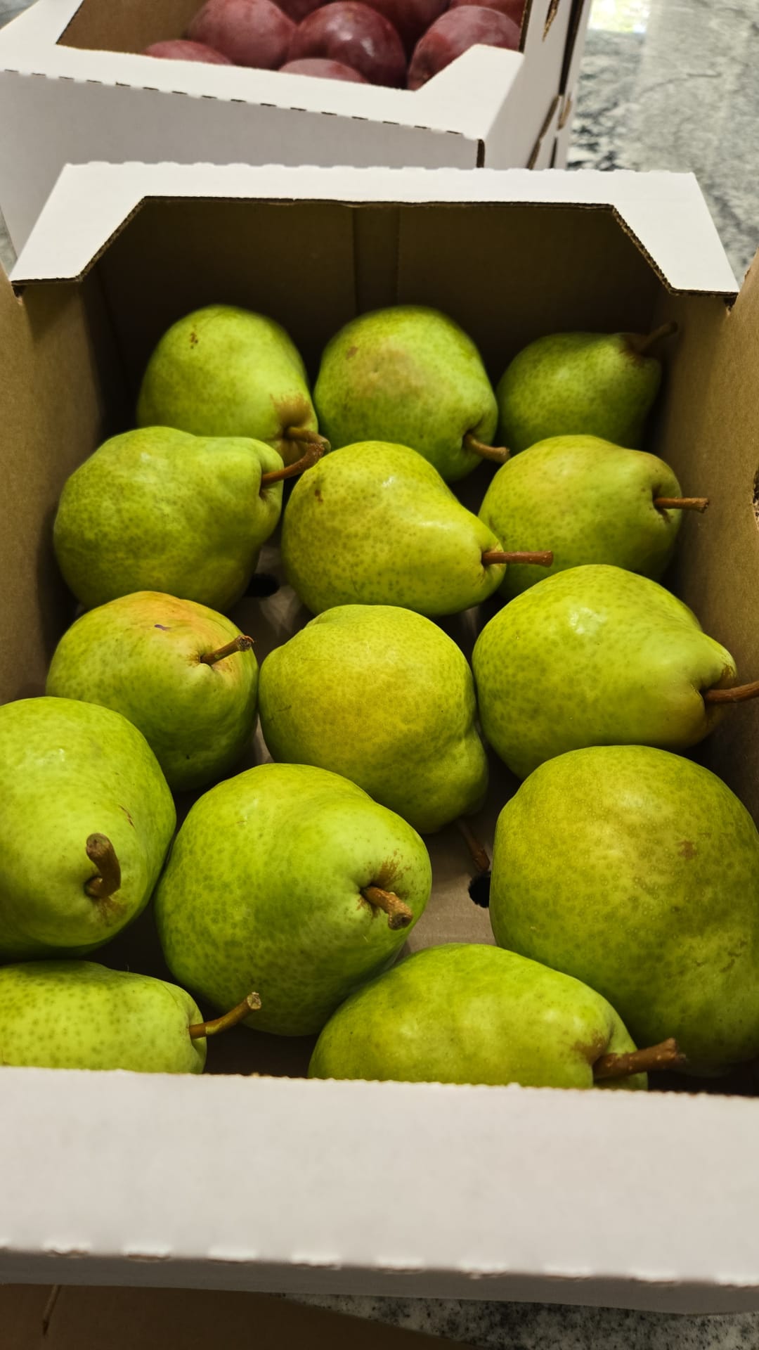 Pears