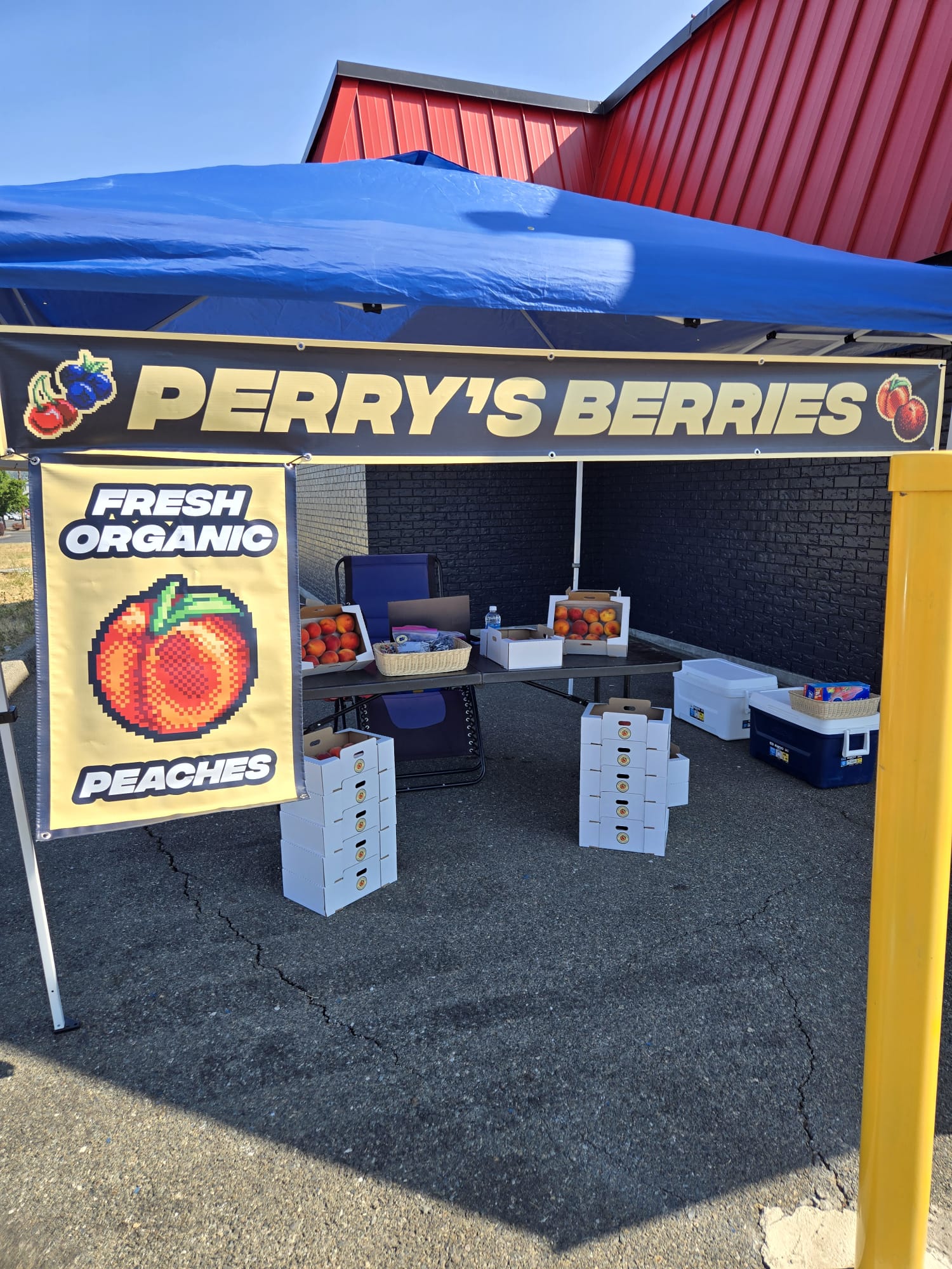Fresh cherries at the stand